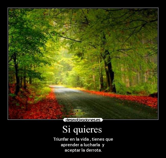 Si quieres - Triunfar en la vida , tienes que
aprender a lucharla y
aceptar la derrota.