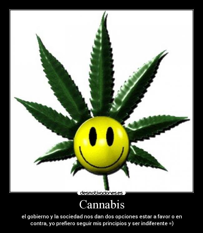 Cannabis - 