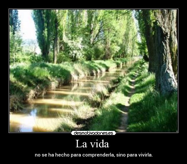 La vida -