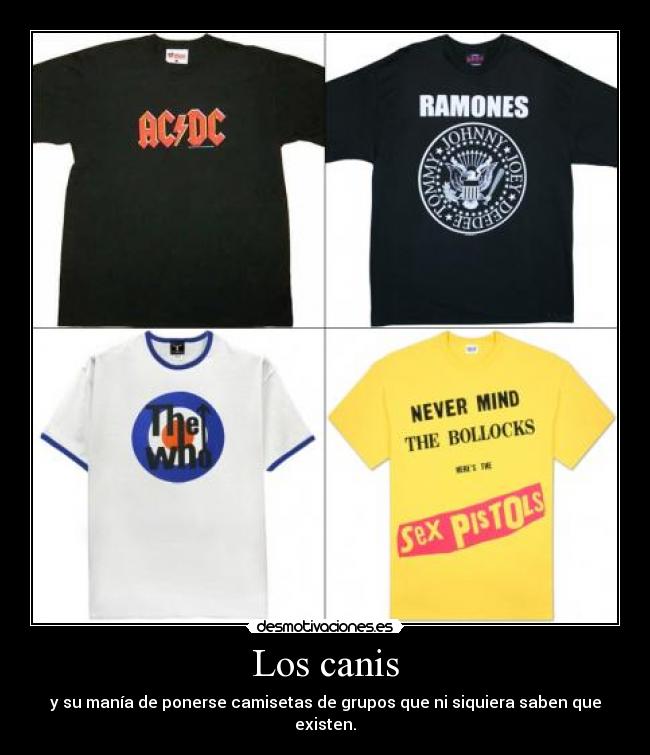 Los canis - y su manía de ponerse camisetas de grupos que ni siquiera saben que existen.