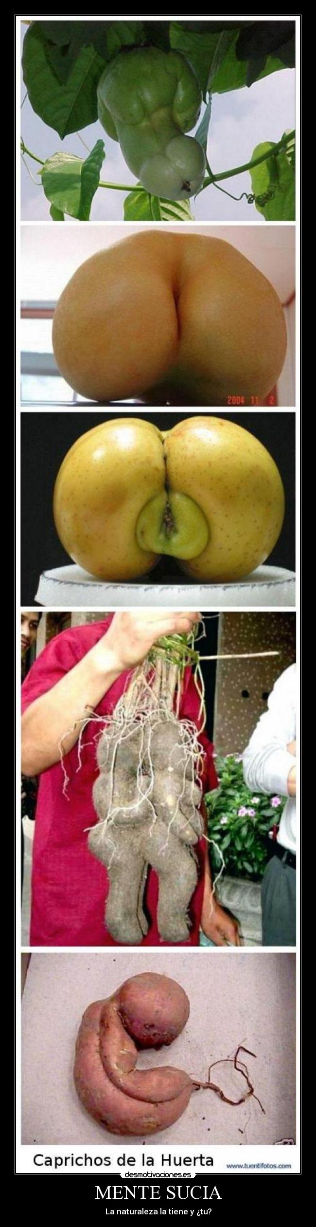 MENTE SUCIA - La naturaleza la tiene y ¿tu?