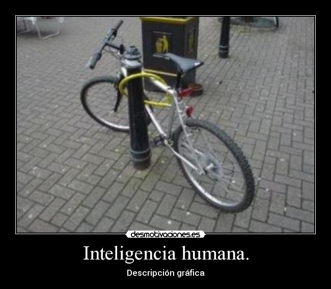 Inteligencia humana. - Descripción gráfica