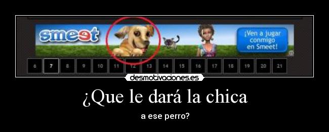 ¿Que le dará la chica - a ese perro?