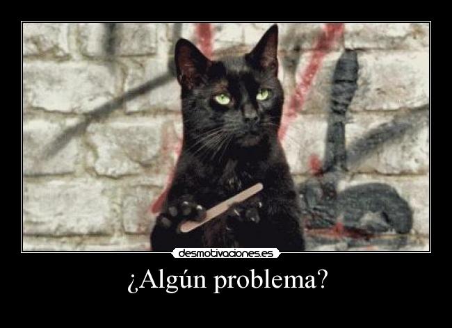 ¿Algún problema? - 