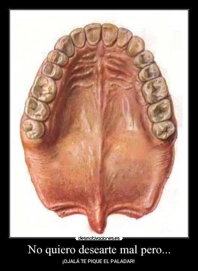 No quiero desearte mal pero... - 