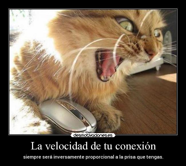 La velocidad de tu conexión - 