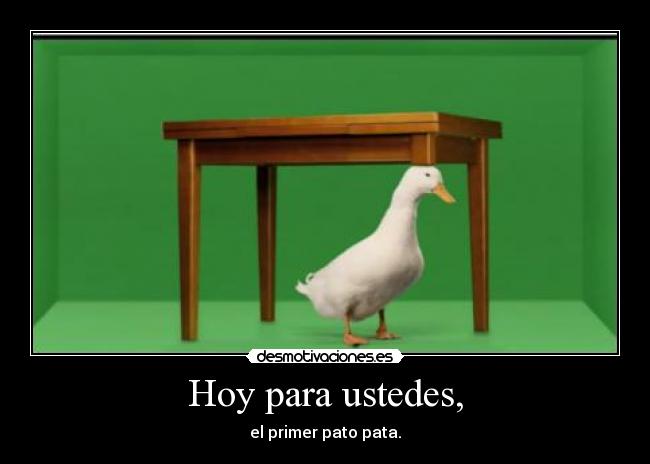 Hoy para ustedes, - el primer pato pata.