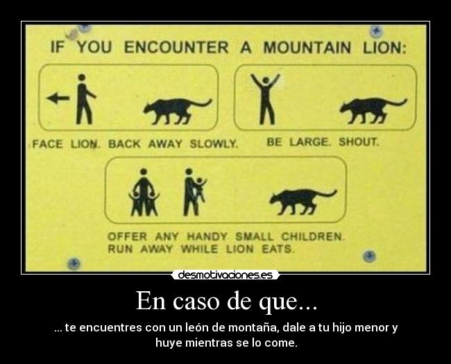 En caso de que... - ... te encuentres con un león de montaña, dale a tu hijo menor y
huye mientras se lo come.