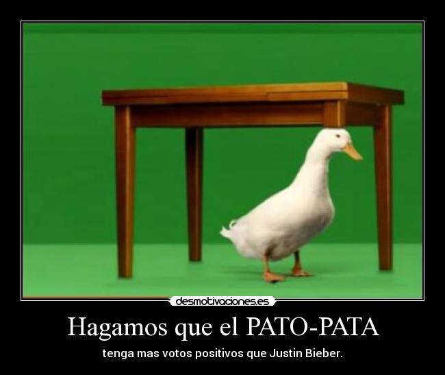 Hagamos que el PATO-PATA - 