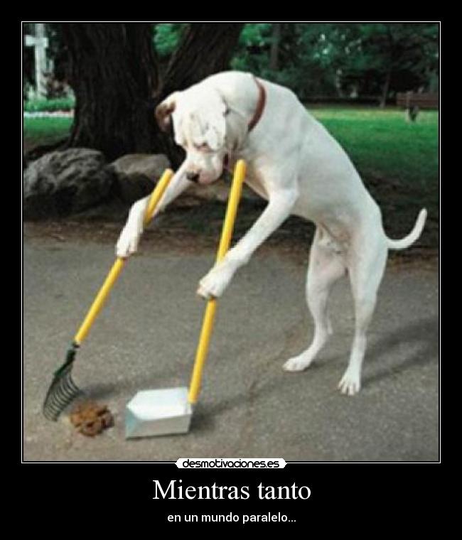 Mientras tanto - en un mundo paralelo...