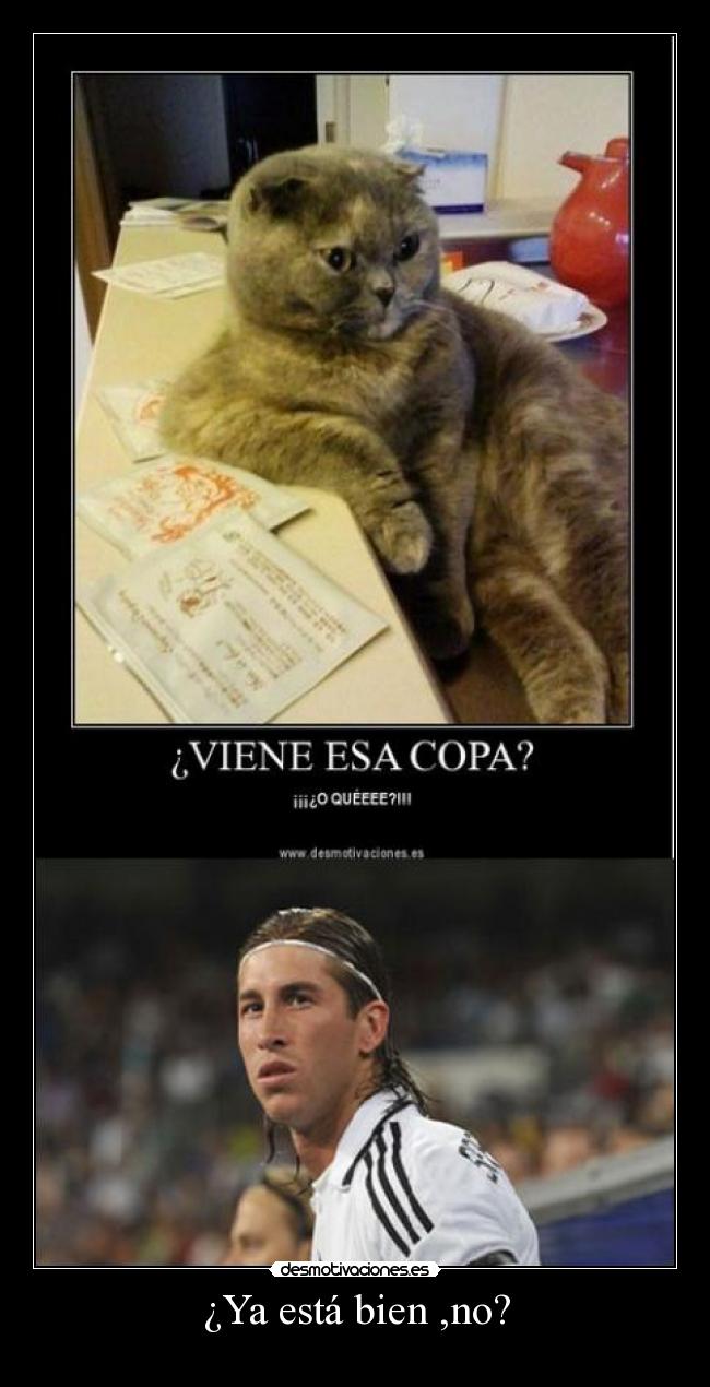 ¿Ya está bien ,no? - 