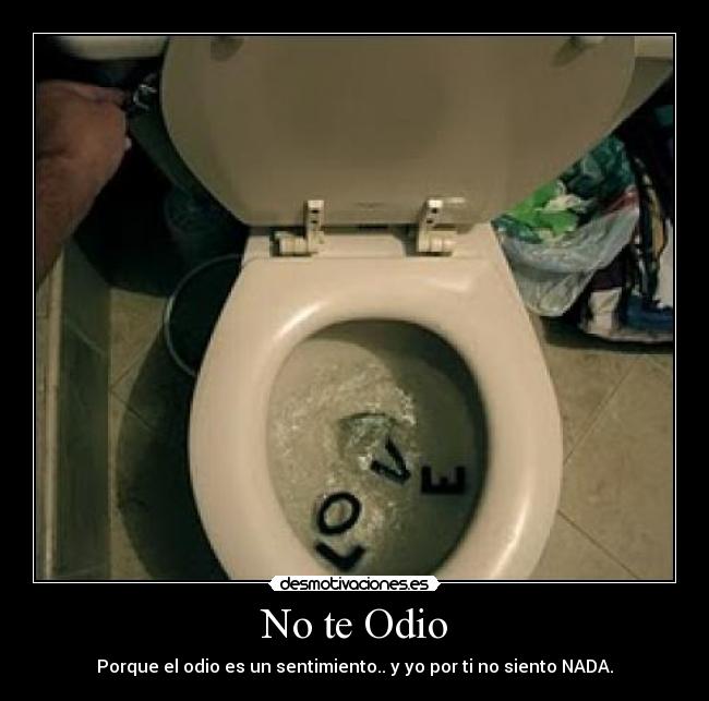 No te Odio - Porque el odio es un sentimiento.. y yo por ti no siento NADA.