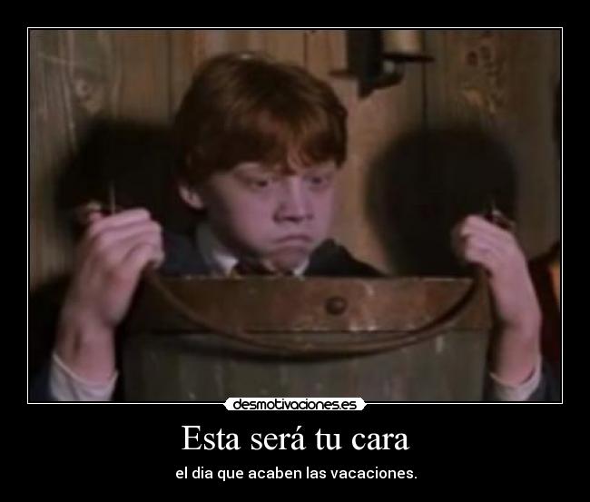 carteles cara vacaciones harry potter desmotivaciones