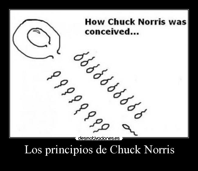 Los principios de Chuck Norris - 