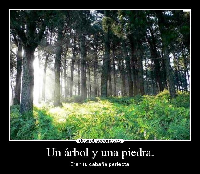 Un árbol y una piedra. -