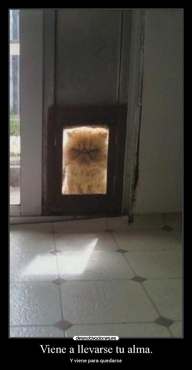 Viene a llevarse tu alma. - Y viene para quedarse