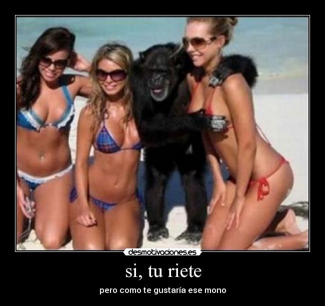 si, tu riete - pero como te gustaría ese mono