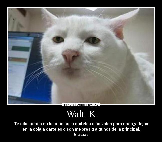 Walt_K - 