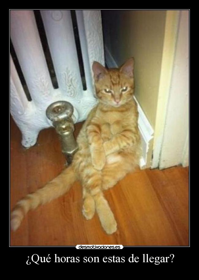 ¿Qué horas son estas de llegar? - 