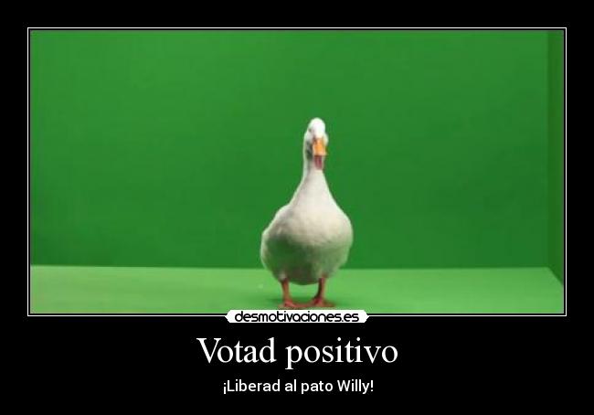 Votad positivo - ¡Liberad al pato Willy!