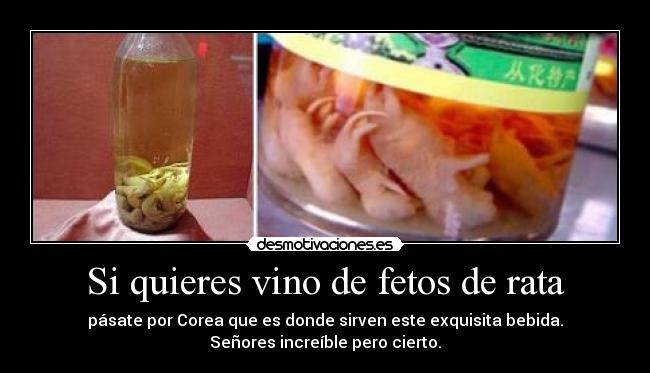 Si quieres vino de fetos de rata - pásate por Corea que es donde sirven este exquisita bebida.
Señores increíble pero cierto.