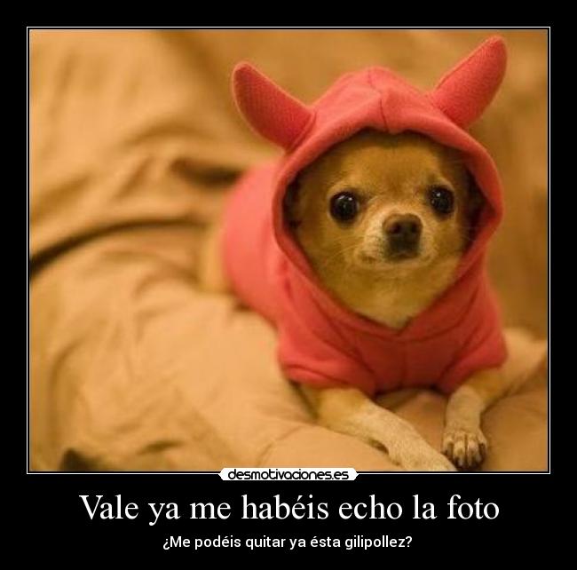 Vale ya me habéis echo la foto -