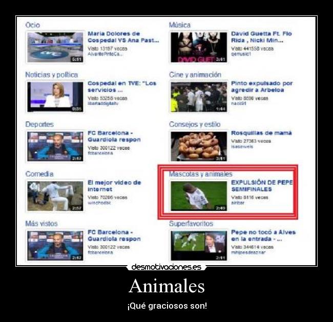 Animales -