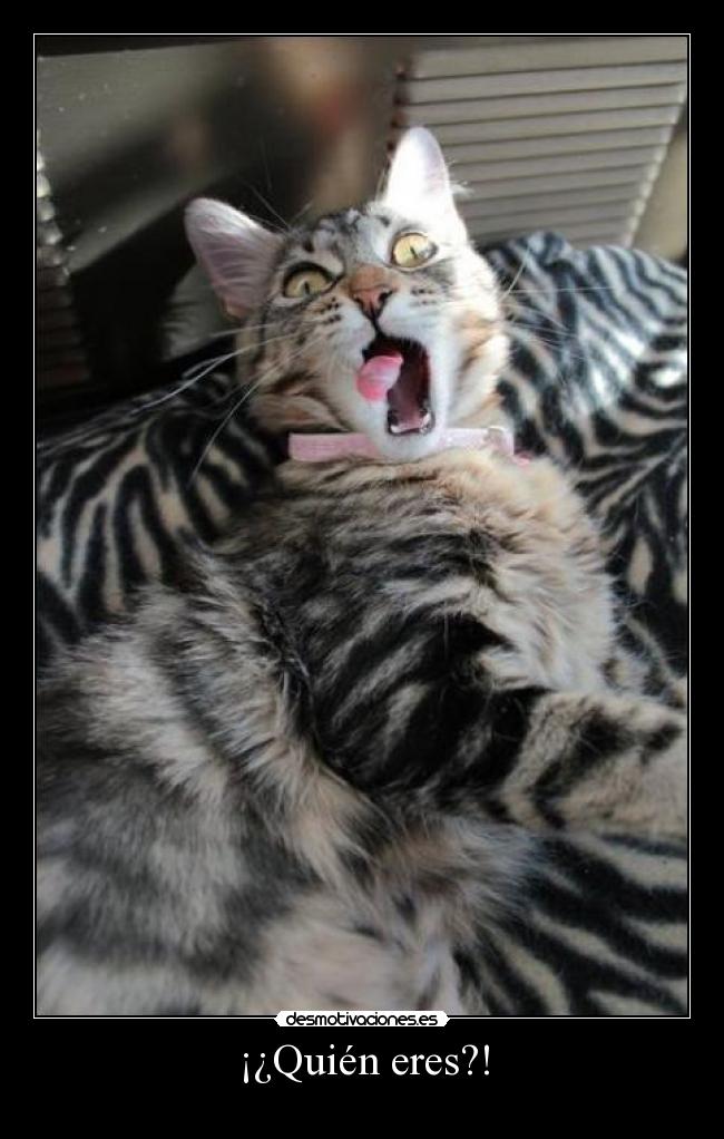 ¡¿Quién eres?! -