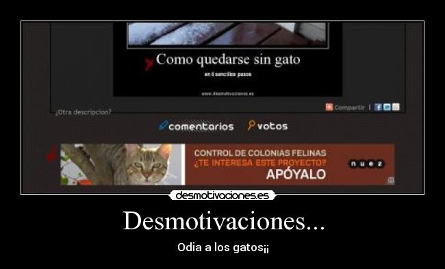 Desmotivaciones... -