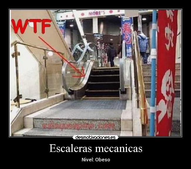 Escaleras mecanicas - Nivel: Obeso