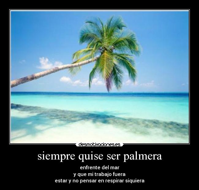 siempre quise ser palmera - 