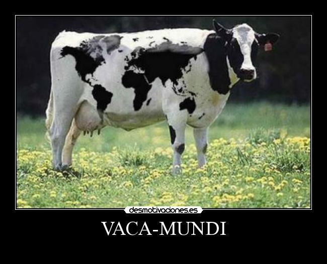 VACA-MUNDI - 