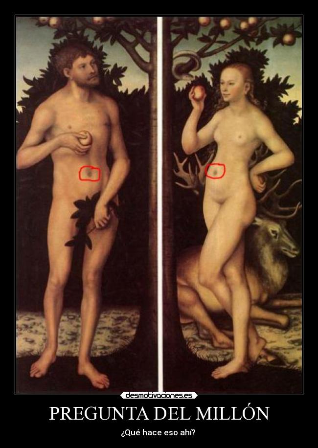 PREGUNTA DEL MILLÓN - 