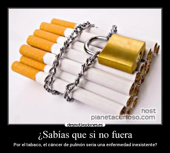 ¿Sabías que si no fuera -