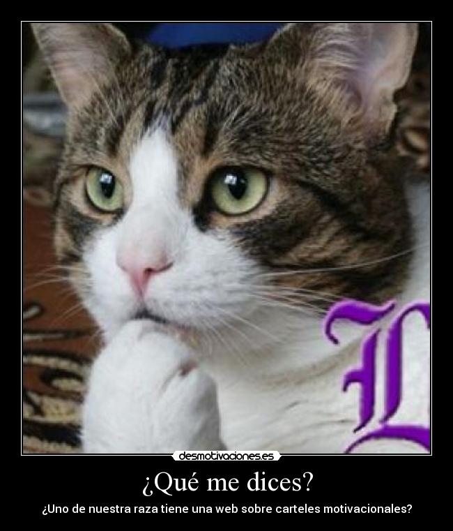 ¿Qué me dices? - ¿Uno de nuestra raza tiene una web sobre carteles motivacionales?