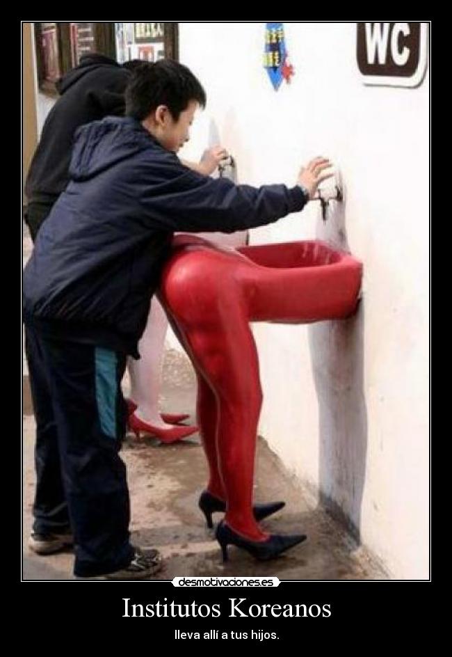 Institutos Koreanos -