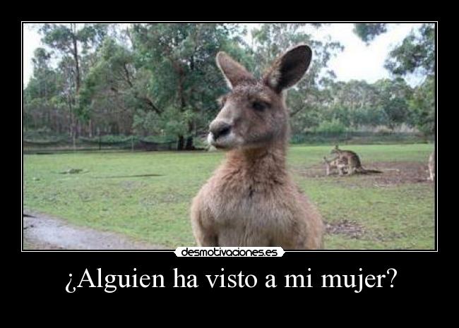 ¿Alguien ha visto a mi mujer? - 