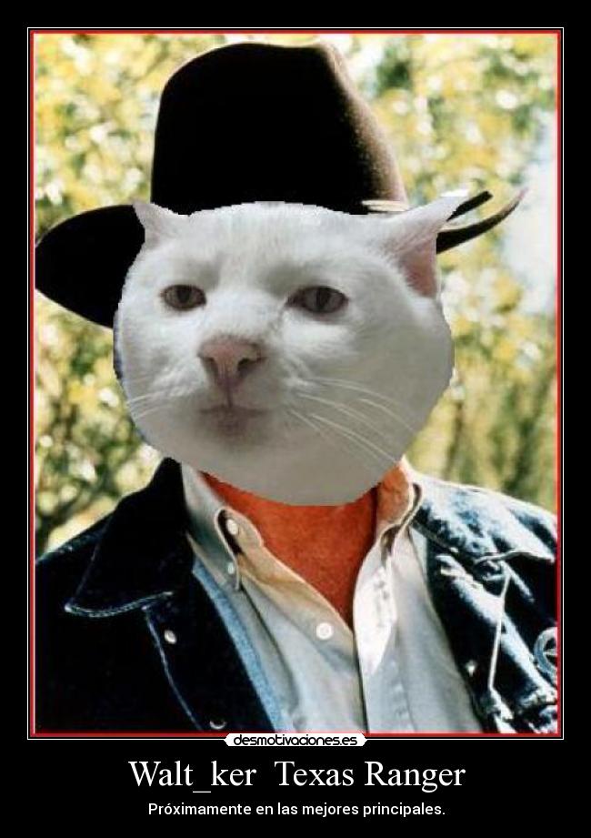 Walt_ker  Texas Ranger - 