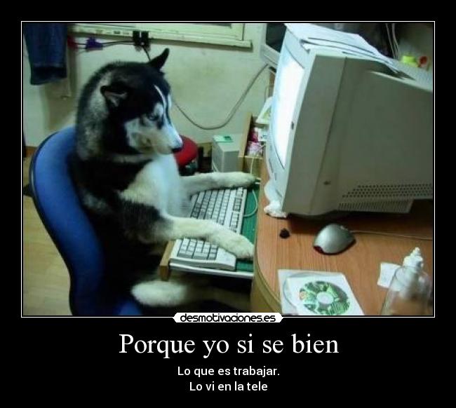 Porque yo si se bien - Lo que es trabajar.
Lo vi en la tele