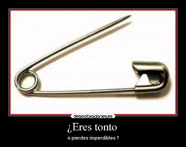 carteles tonto guille zgz desmotivaciones