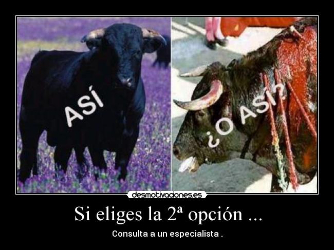 Si eliges la 2ª opción ... - Consulta a un especialista .