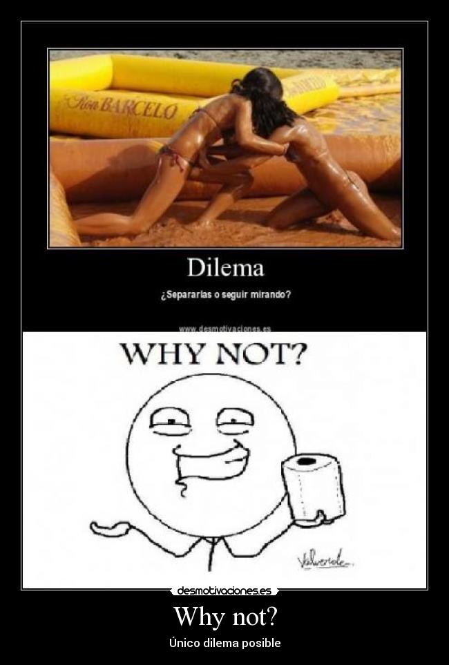 carteles why not dilema chica pegandose pelea desmotivaciones