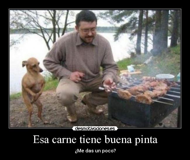 Esa carne tiene buena pinta - ¿Me das un poco?