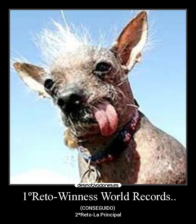 1ºReto-Winness World Records.. -