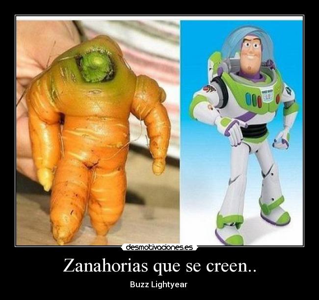 Zanahorias que se creen.. -