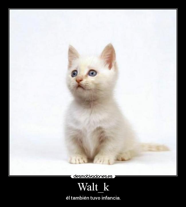 Walt_k -