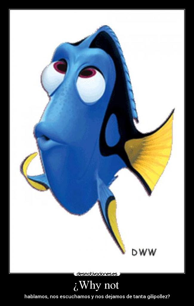 ¿Why not -
