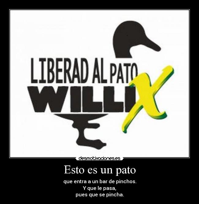 Esto es un pato - 