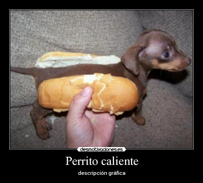 Perrito caliente - descripción gráfica