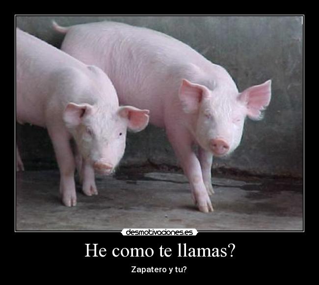 He como te llamas? - Zapatero y tu?